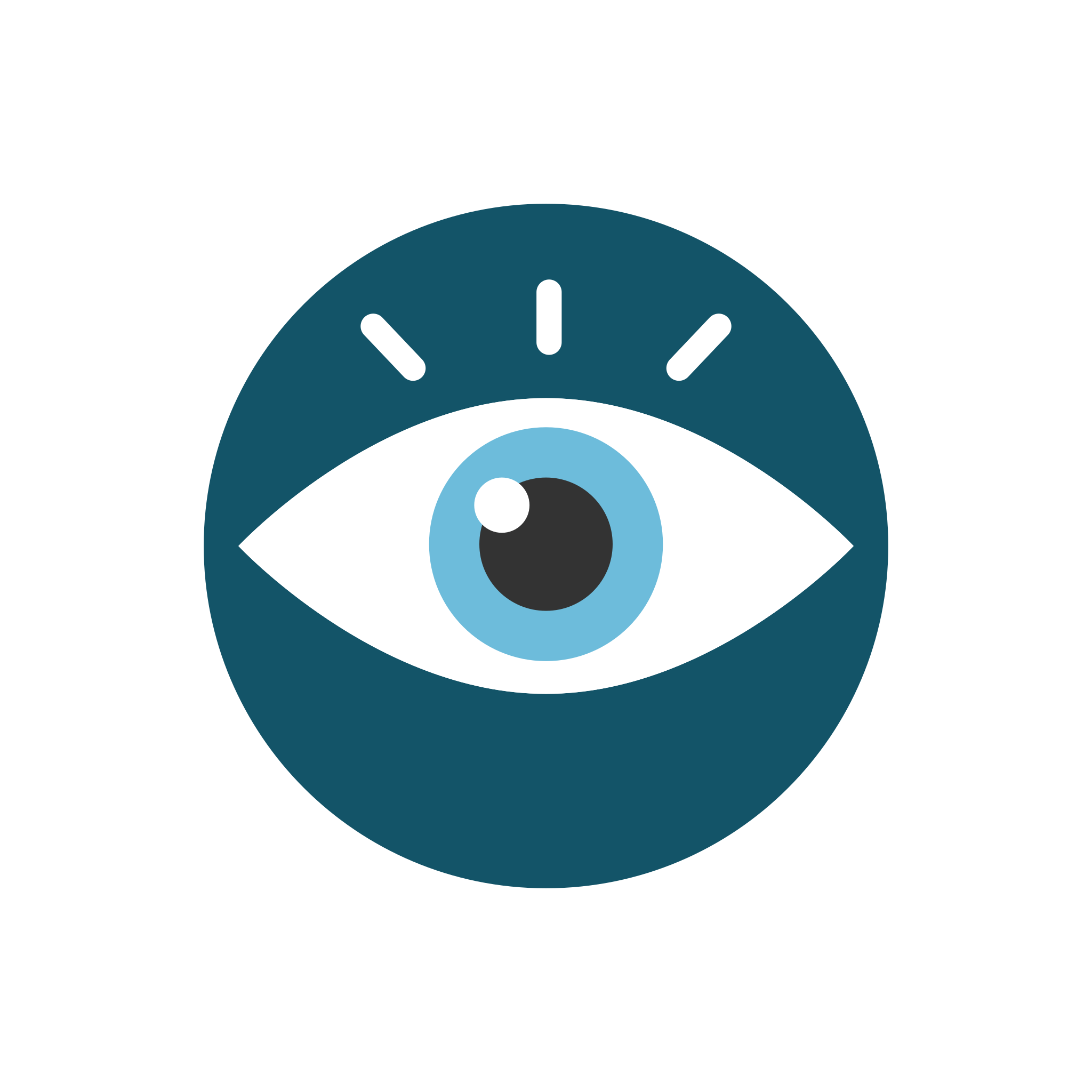Service Features